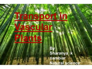 Transport in
Vascular
Plants
By
Sharanya k
nambiar
Natural science
 