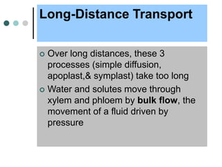 Long-Distance Transport
 Over long distances, these 3
processes (simple diffusion,
apoplast,& symplast) take too long
 Water and solutes move through
xylem and phloem by bulk flow, the
movement of a fluid driven by
pressure
 