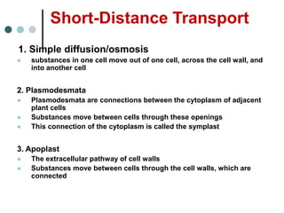 Short-Distance Transport
1. Simple diffusion/osmosis
 substances in one cell move out of one cell, across the cell wall, and
into another cell
2. Plasmodesmata
 Plasmodesmata are connections between the cytoplasm of adjacent
plant cells
 Substances move between cells through these openings
 This connection of the cytoplasm is called the symplast
3. Apoplast
 The extracellular pathway of cell walls
 Substances move between cells through the cell walls, which are
connected
 