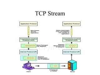 TCP Stream 