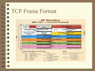 TCP Frame Format 