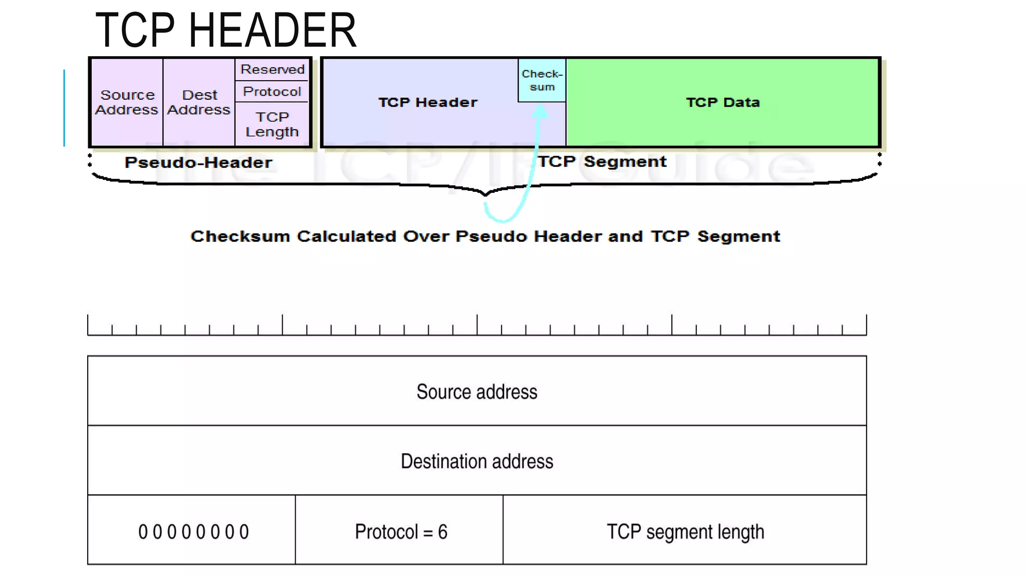 TCP HEADER
 