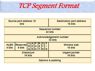 TCP Segment Format
 