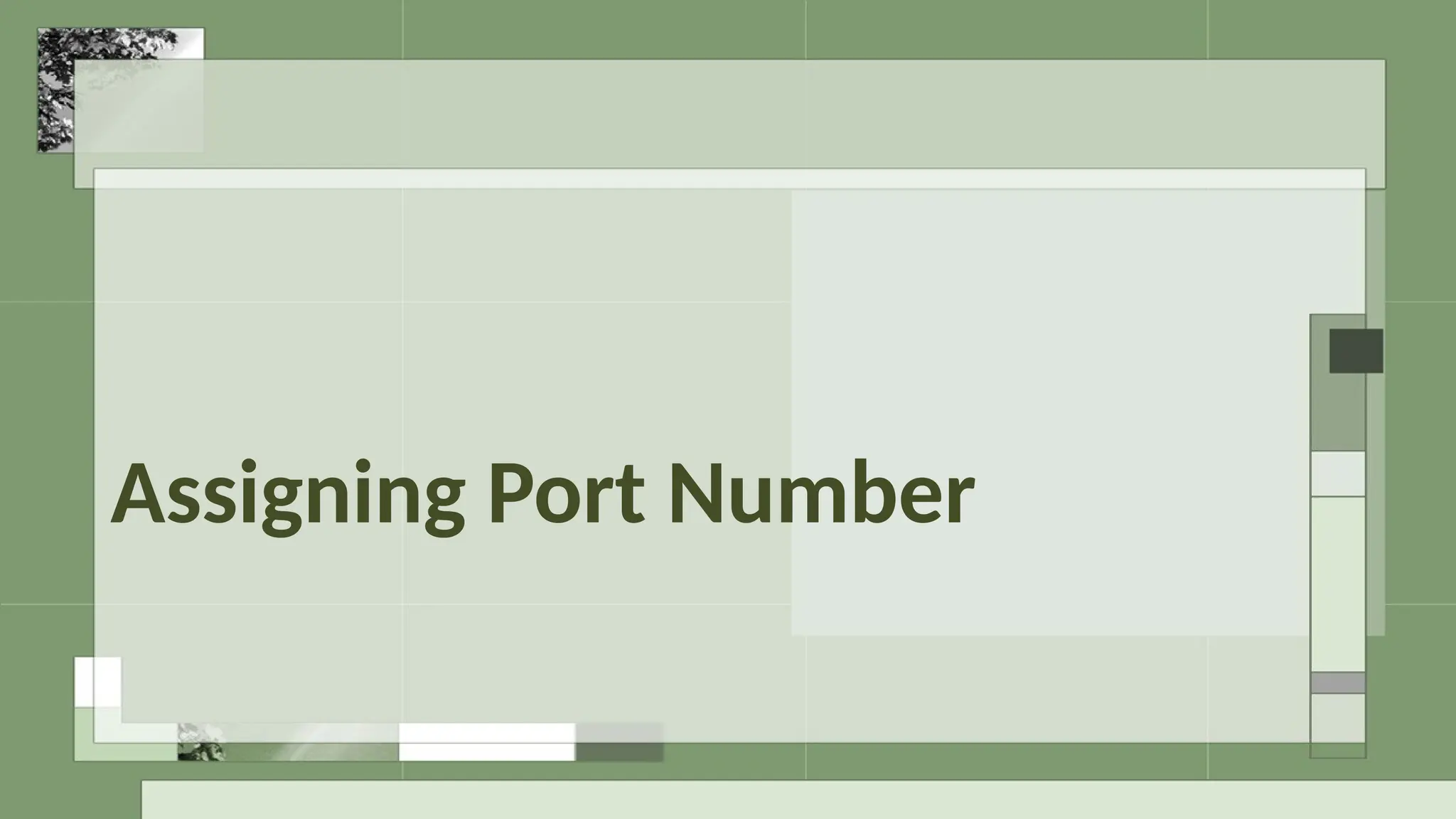 Assigning Port Number
 