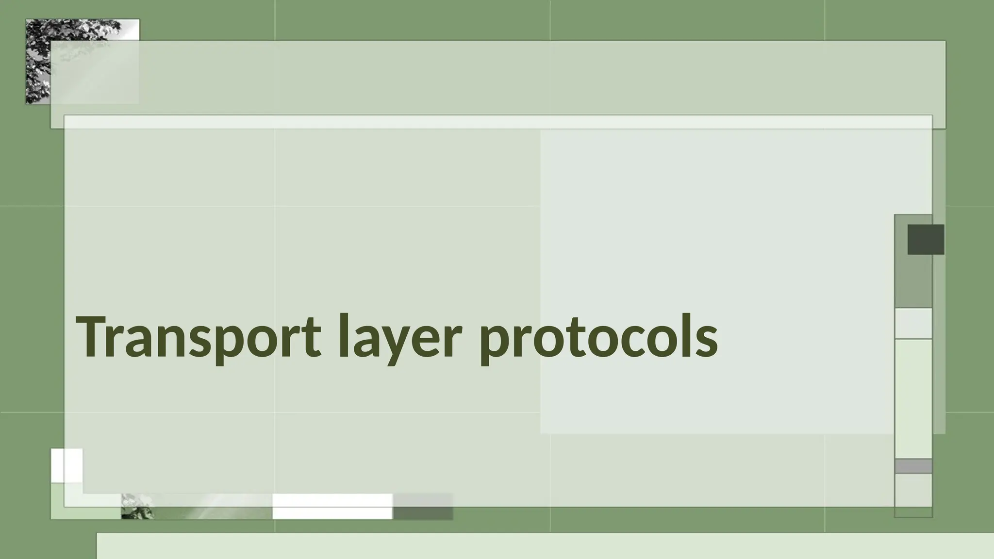 Transport layer protocols
 