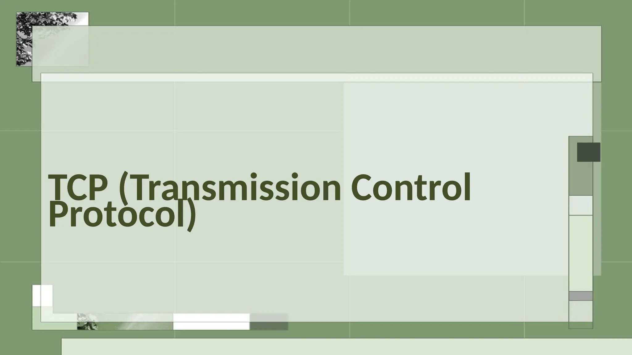 TCP (Transmission Control
Protocol)
 