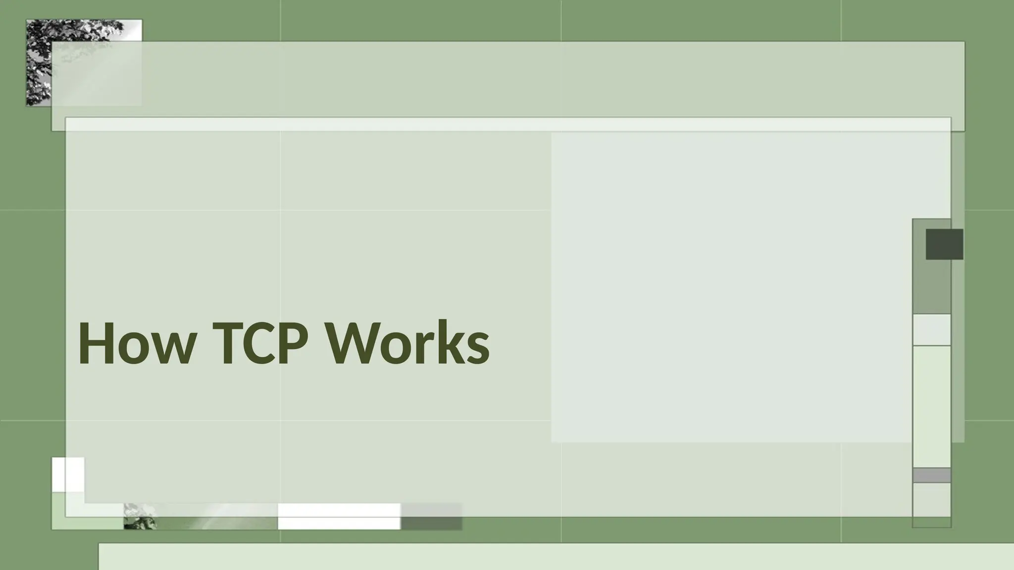 How TCP Works
 
