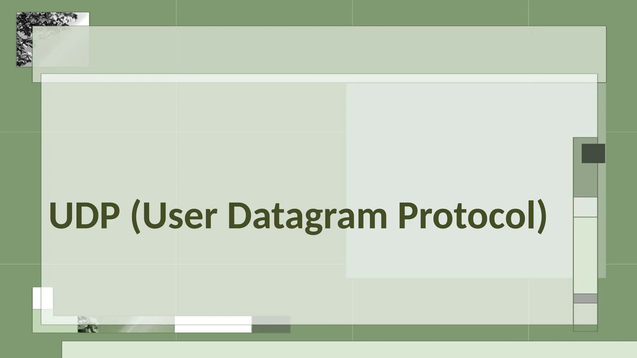 UDP (User Datagram Protocol)
 