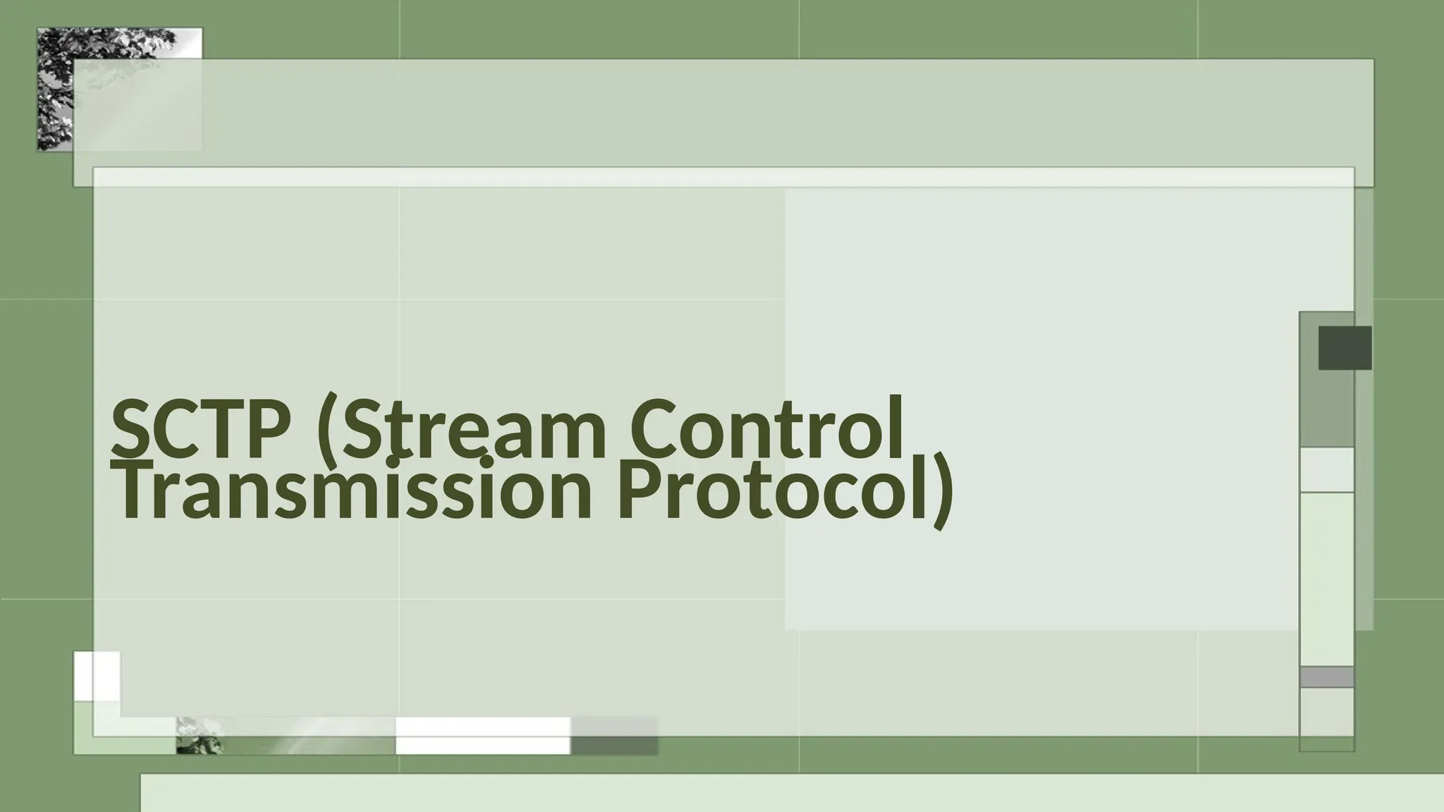 SCTP (Stream Control
Transmission Protocol)
 