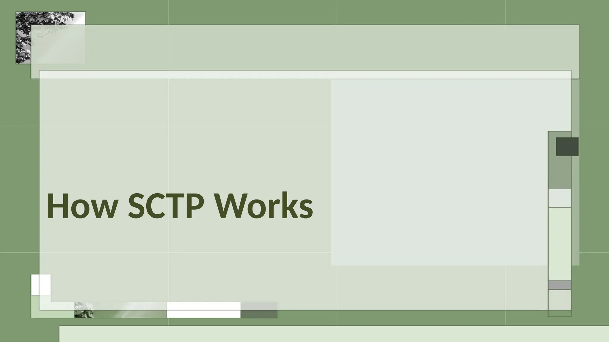 How SCTP Works
 