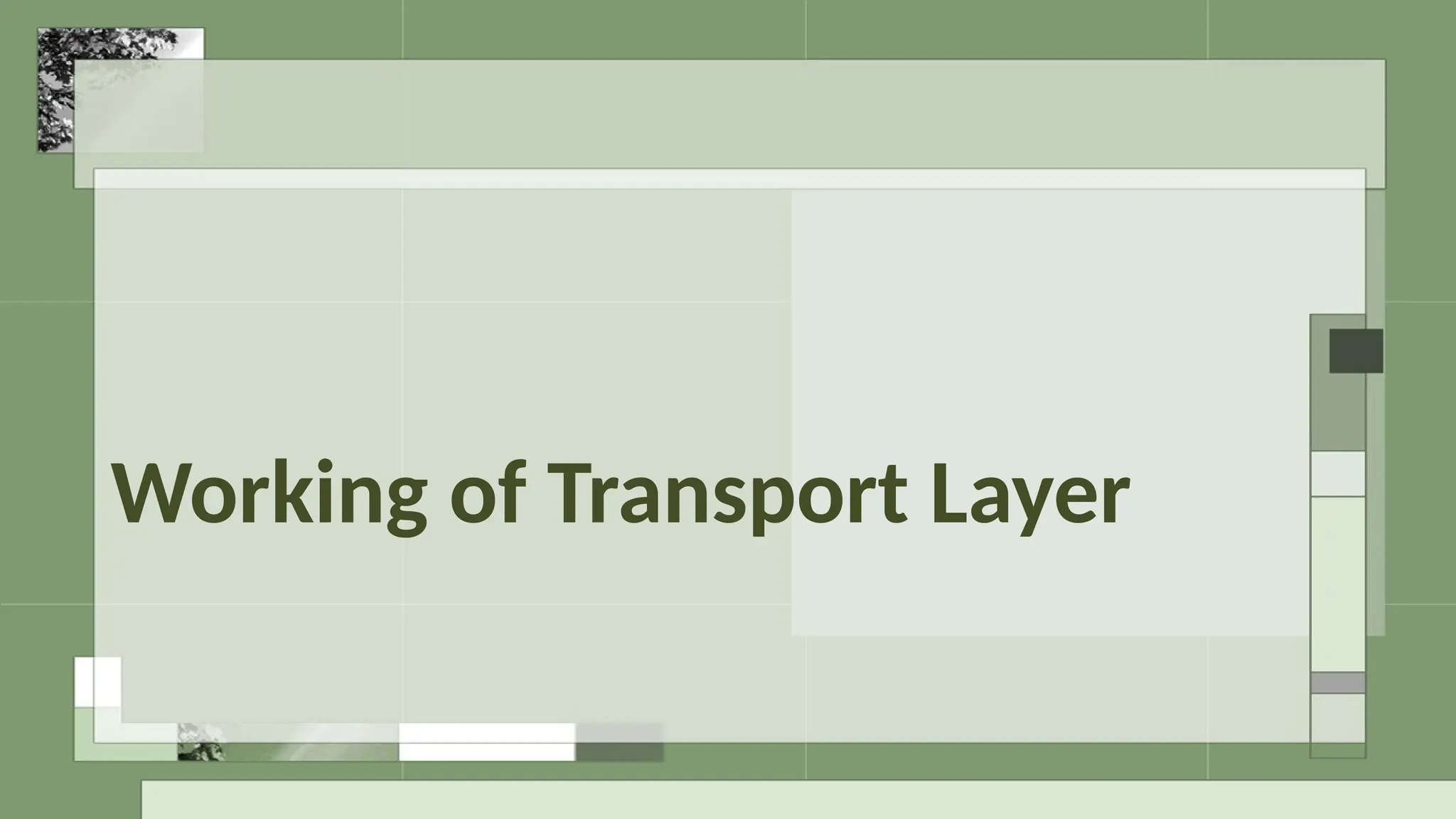 Working of Transport Layer
 