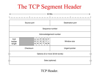 The TCP Segment Header
TCP Header.
 