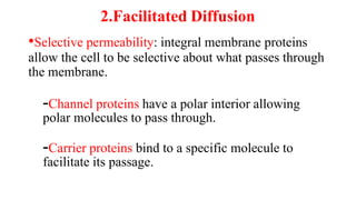 2.Facilitated Diffusion
•Selective permeability: integral membrane proteins
allow the cell to be selective about what passes through
the membrane.
-Channel proteins have a polar interior allowing
polar molecules to pass through.
-Carrier proteins bind to a specific molecule to
facilitate its passage.
 