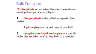 21
Bulk Transport
•Endocytosis occurs when the plasma membrane
envelops food particles and liquids.
1. phagocytosis – the cell takes in particulate
matter
2. pinocytosis – the cell takes in only fluid
3. receptor-mediated endocytosis – specific
molecules are taken in after they bind to a receptor
 