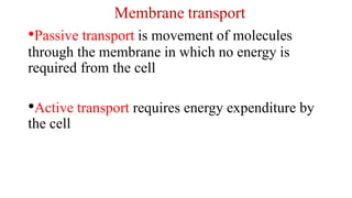 Membrane transport
•Passive transport is movement of molecules
through the membrane in which no energy is
required from the cell
•Active transport requires energy expenditure by
the cell
 