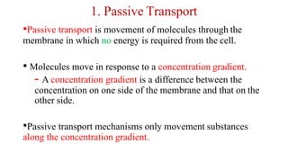 1. Passive Transport
•Passive transport is movement of molecules through the
membrane in which no energy is required from the cell.
• Molecules move in response to a concentration gradient.
- A concentration gradient is a difference between the
concentration on one side of the membrane and that on the
other side.
•Passive transport mechanisms only movement substances
along the concentration gradient.
 