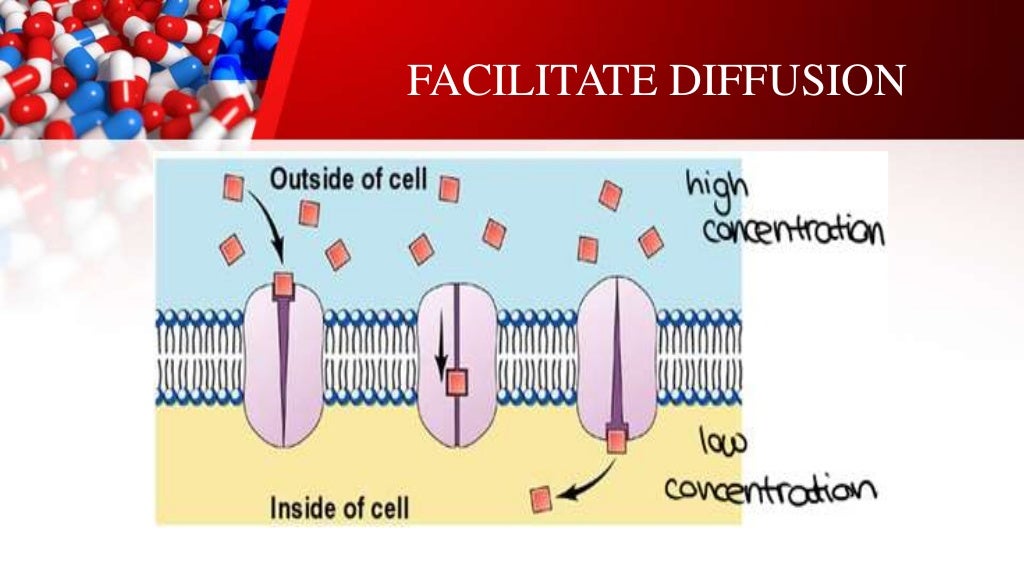 Transport mechanism biopharma