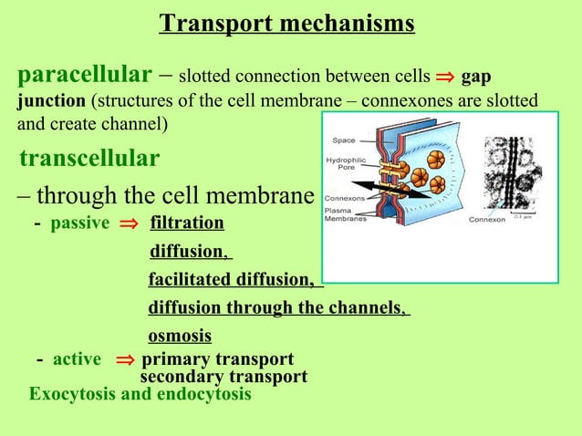 The properties of biological fluids and features of transport through ...