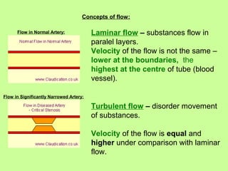 The properties of biological fluids and features of transport through ...