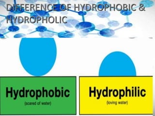 Hydrobolic Transport Mechanisms(Gen.Bio).pptx