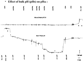 • Effect of bulk pH (pHb) on pHm :
 