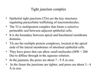 Tight junction complex
• Epithelial tight junctions (TJs) are the key structures
regulating paracellular trafficking of macromolecules.
• The TJ is multiprotein complex that forms a selective
permeable seal between adjacent epithelial cells.
• It is the boundary between apical and basolateral membrane
domains.
• TJs are the multiple protein complexes, located at the apical
ends of the lateral membranes of intestinal epithelial cells.
• They have pores that can allow small molecules (MW < 200
Da) to diffuse through in the aqueous solution.
• In the jejunum, the pores are about 7 - 9 Å in size.
• In the ileum the junctions are tighter, and pores are about 3 - 4
Å in size.
 