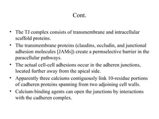 Cont.
• The TJ complex consists of transmembrane and intracellular
scaffold proteins.
• The transmembrane proteins (claudins, occludin, and junctional
adhesion molecules [JAMs]) create a permselective barrier in the
paracellular pathways.
• The actual cell-cell adhesions occur in the adheren junctions,
located further away from the apical side.
• Apparently three calciums contiguously link 10-residue portions
of cadheren proteins spanning from two adjoining cell walls.
• Calcium-binding agents can open the junctions by interactions
with the cadheren complex.
 