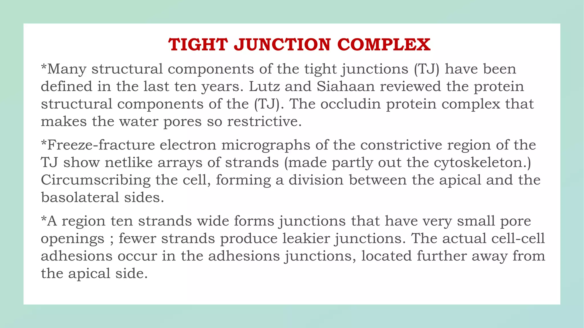 TIGHT JUNCTION COMPLEX
 