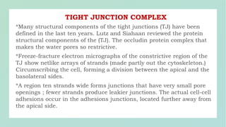 TIGHT JUNCTION COMPLEX
 