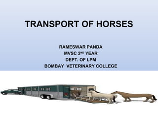 TRANSPORT OF HORSES
RAMESWAR PANDA
MVSC 2ND
YEAR
DEPT. OF LPM
BOMBAY VETERINARY COLLEGE
 