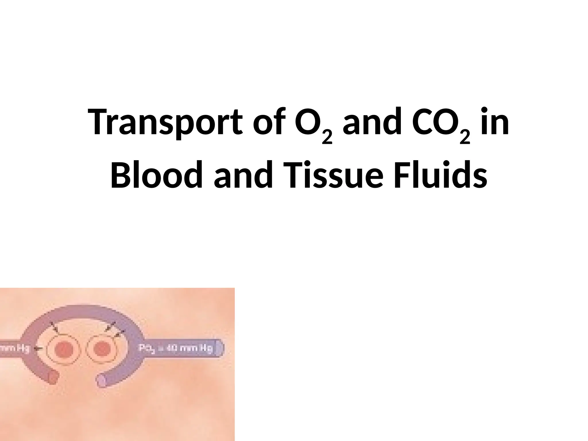 Formule Transport O2 Transport of O2 and CO2 in blood and tissue fluids laptop.pptx