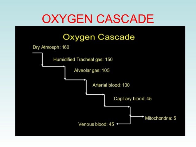 Transport of oxygen and carbon dioxide