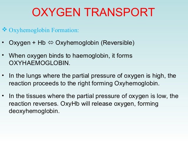 oxygen exchange and transport Unit 3 respiratory system and gas exchange 1 blood then transport oxygen to the body tissue cells 3 internal respiration: gas exchange between blood and tissue . oxygen exchange and transport Unit 3 respiratory system and gas exchange 1 blood then transport oxygen to the body tissue cells 3 internal respiration: gas exchange between blood and tissue .