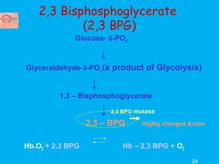 Transport of oxygen in the blood | PPT