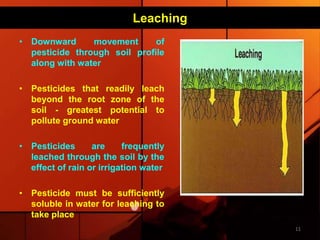 Transport of pesticides in environment | PPTX | Science