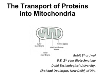 The Transport of Proteins into Mitochondria Rohit Bhardwaj B.E. 2 nd  year Biotechnology Delhi Technological University, Shahbad Daulatpur, New Delhi, INDIA. 