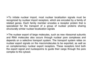 Transport Of Proteins | PPT