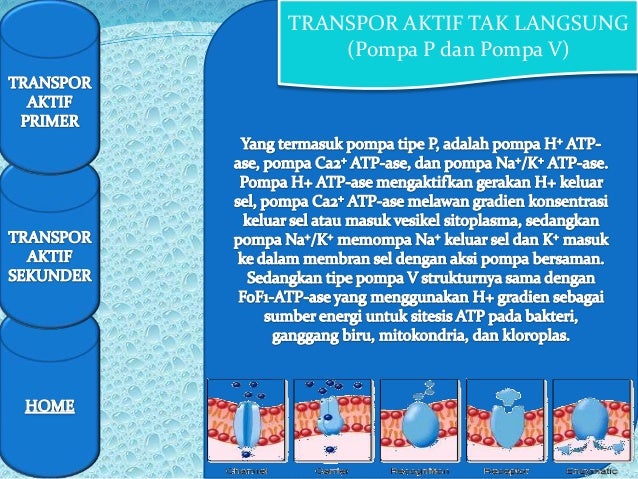 Transportppt