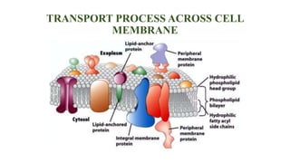 TRANSPORT PROCESS ACROSS CELL
MEMBRANE
 