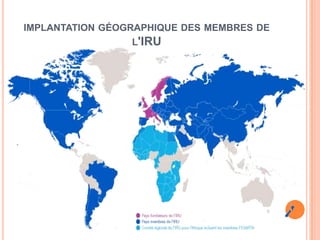 IMPLANTATION GÉOGRAPHIQUE DES MEMBRES DE
L'IRU
 