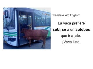 Translate into English:
La vaca prefiere
subirse a un autobús
que ir a pie.
¡Vaca lista!
 