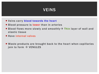  Veins carry blood towards the heart
 Blood pressure is lower than in arteries
 Blood flows more slowly and smoothly Thin layer of wall and
elastic tissue
 Have internal valves
 Waste products are brought back to the heart when capillaries
join to form  VENULES
VEINS
 