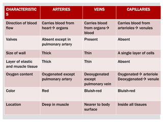 CHARACTERISTIC
S
ARTERIES VEINS CAPILLARIES
Direction of blood
flow
Carries blood from
heart organs
Carries blood
from organs
blood
Carries blood from
arterioles venules
Valves Absent except in
pulmonary artery
Present Absent
Size of wall Thick Thin A single layer of cells
Layer of elastic
and muscle tissue
Thick Thin Absent
Oxygen content Oxygenated except
pulmonary artery
Deoxygenated
except
pulmonary vein
Oxygenated arteriole
Deoxygenated venule
Color Red Bluish-red Bluish-red
Location Deep in muscle Nearer to body
surface
Inside all tissues
 