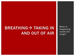 BREATHING TAKING IN
AND OUT OF AIR
What is
happening
inside the
lungs?
 
