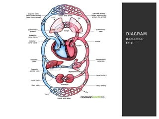 Remember
this!
DIAGRAM
 