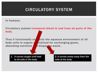 In humans,
Circulatory system transports blood to and from all parts of the
body.
Thus it functionally connects the aqueous environment of all
body cells to organs specialized for exchanging gases,
absorbing nutrients and disposing waste.
CIRCULATORY SYSTEM
1. It carries oxygen and food
to all cells in the body
2. It carries waste away from the
cells of the body
 