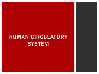 HUMAN CIRCULATORY
SYSTEM
 