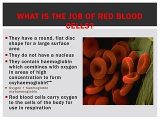 WHAT IS THE JOB OF RED BLOOD
CELLS?
 They have a round, flat disc
shape for a large surface
area
 They do not have a nucleus
 They contain haemoglobin
which combines with oxygen
in areas of high
concentration to form
oxyhaemoglobin
 Oxygen + haemoglobin
oxyhaemoglobin
 Red blood cells carry oxygen
to the cells of the body for
use in respiration
 