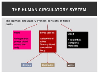 The human circulatory system consists of three
parts:
THE HUMAN CIRCULATORY SYSTEM
Heart
An organ that
pumps blood
around the
body
Blood vessels
A network of
tubes
To carry blood
around the
body
Blood
A liquid that
transports
materials
Arteries Capillaries Veins
 