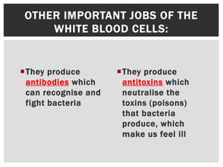 OTHER IMPORTANT JOBS OF THE
WHITE BLOOD CELLS:
They produce
antibodies which
can recognise and
fight bacteria
They produce
antitoxins which
neutralise the
toxins (poisons)
that bacteria
produce, which
make us feel ill
 
